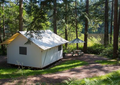 Cabin with picnic table at Lakedales San Juan Island campsite