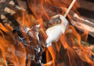 Marshmallow roasting over fire at Lakedales San Juan Island campsite