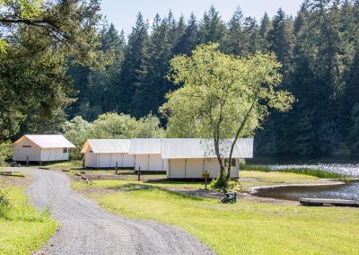 Road to cottages at Lakedale