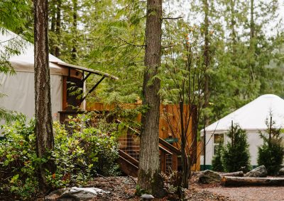 Yurt shot at Lakedales San Juan Island campsite
