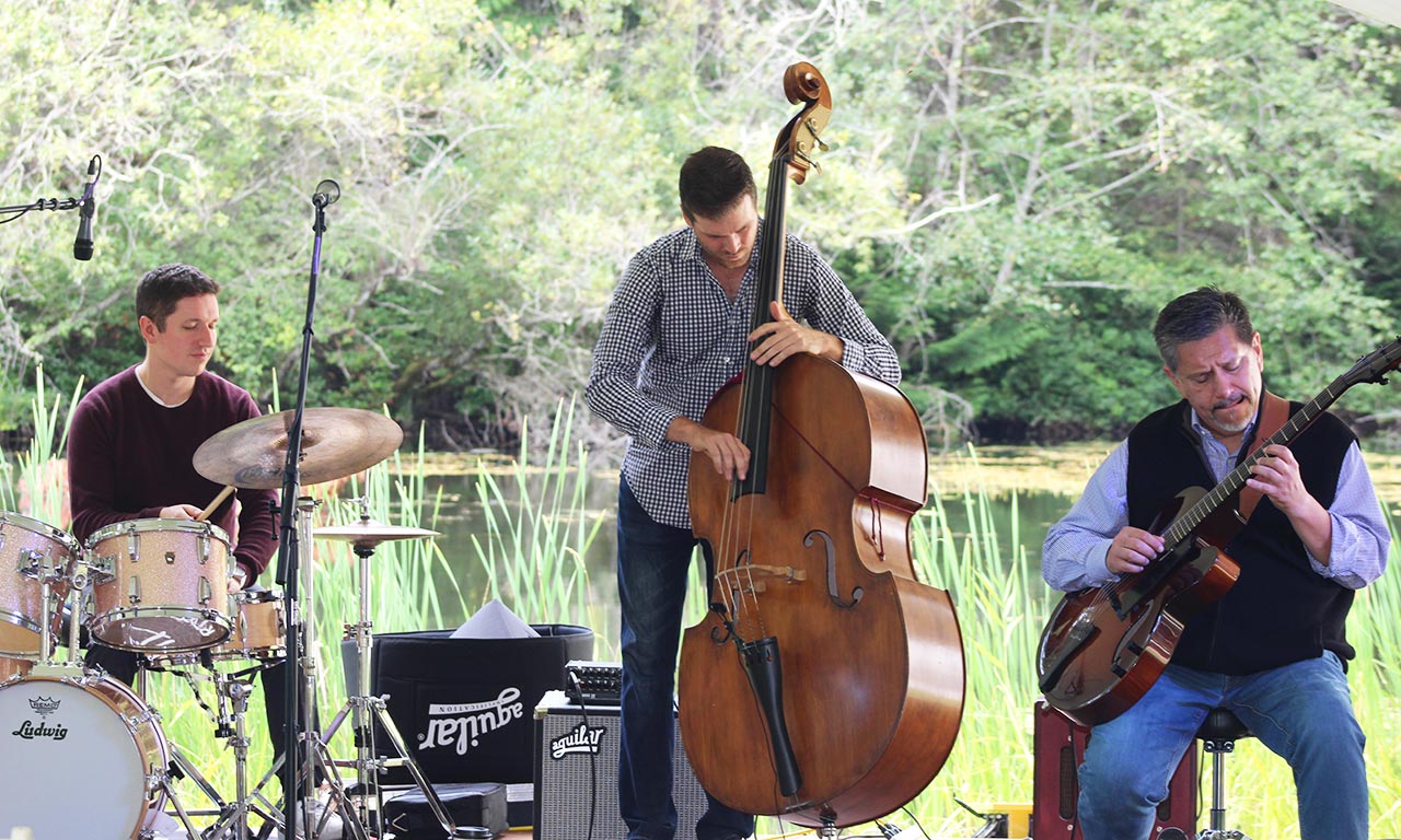 Brian Nova trio at Music festival
