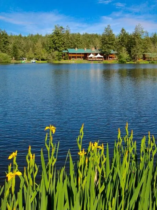800-lakedale-from-across-lake-1-1